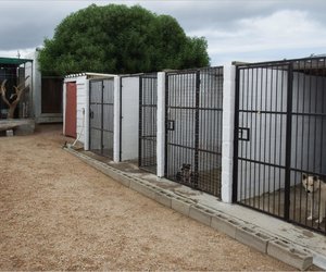 Naderende BARC-Gholfdag